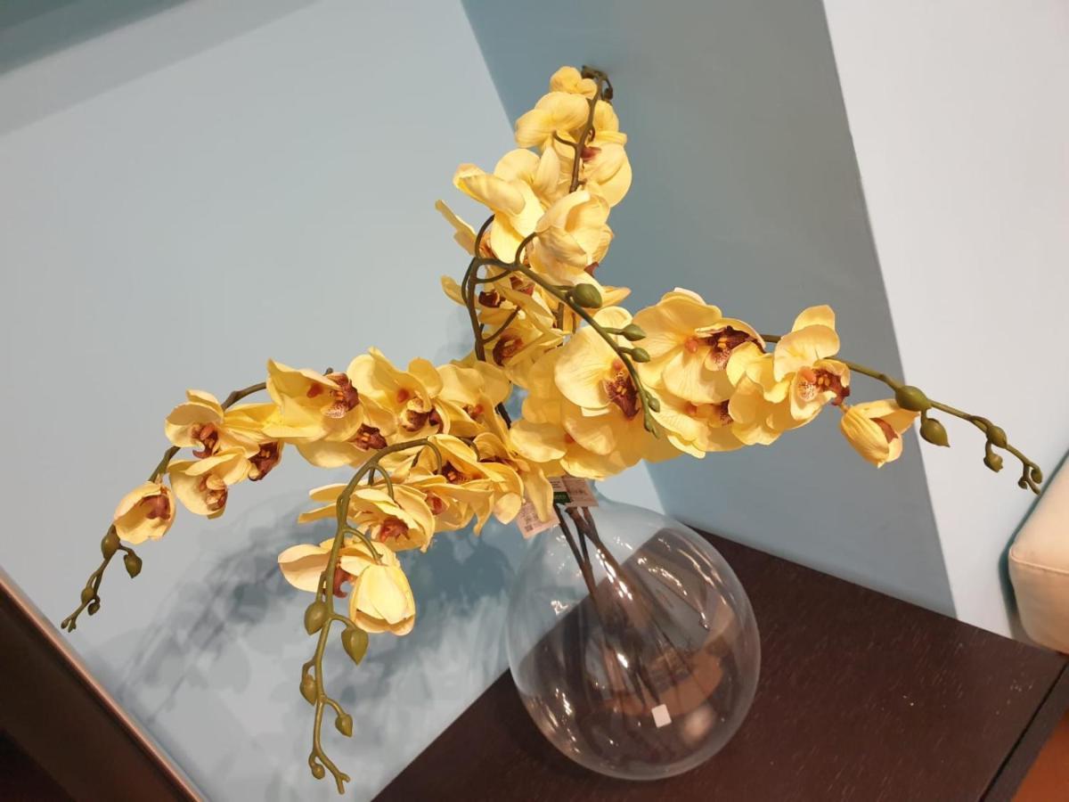 Juliette Rooms Iesi Ngoại thất bức ảnh