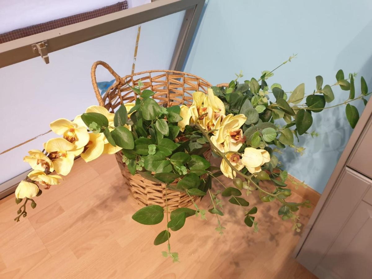 Juliette Rooms Iesi Ngoại thất bức ảnh